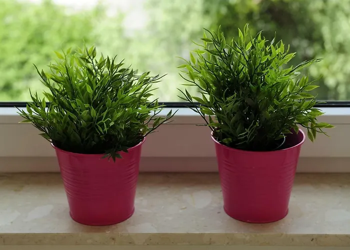 Lejlighed Sleep Well Wroclavia / Dyrekcyjna