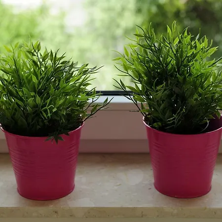 Apartment Sleep Well Wroclavia / Dyrekcyjna